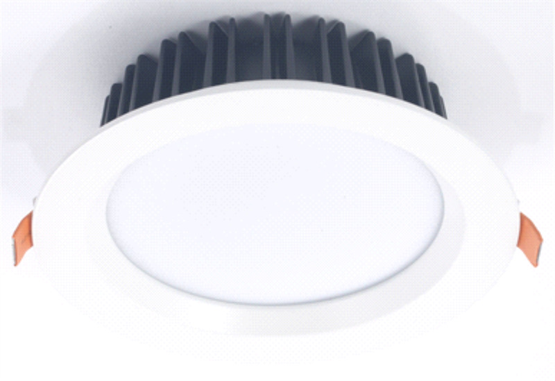 Recessed Waterproof Downlight