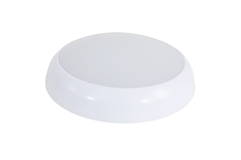 Ceiling Light